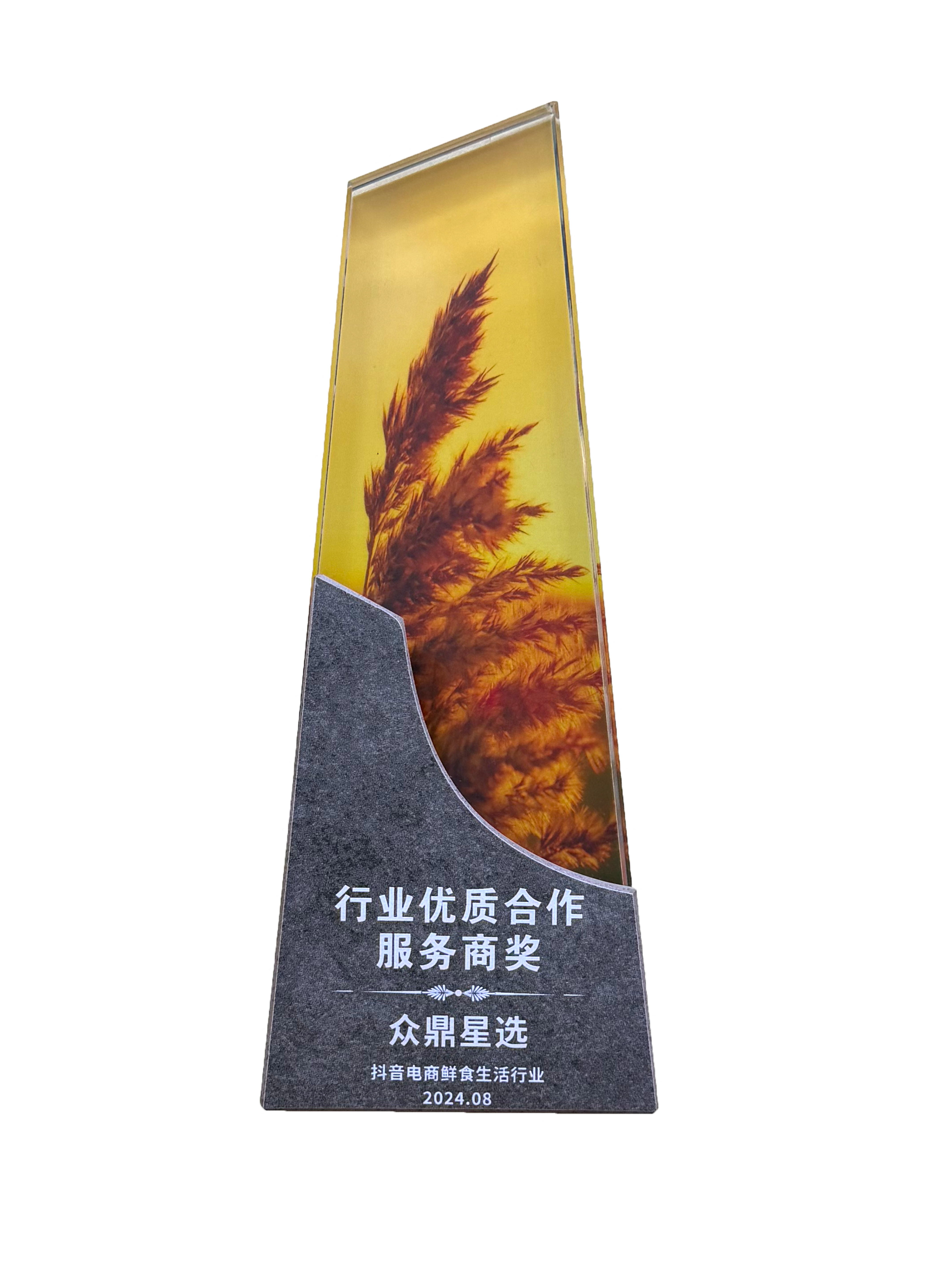 2024年度行业优质合作服务商奖